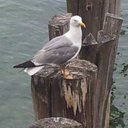 Amalia Muñoz Márquez - @Mali069 - Twitter