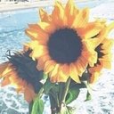 Anosнн ★ (@Anoshh__10) Twitter