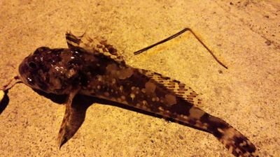 46952369so's profile picture. 