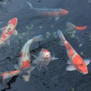 Angie Puig - @Angela_Puig_S - Twitter