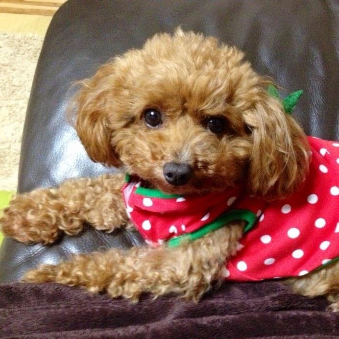 少し【まとめ】やってます ٩(๑❛ᴗ❛๑)۶ リツィート☆ヨロシクお願いします！99%フォロー返しします。