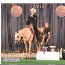 Vicki Coffman - @coffman_qh - Twitter