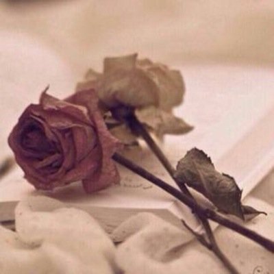 استغفرالله و أتوب إليه ♡'