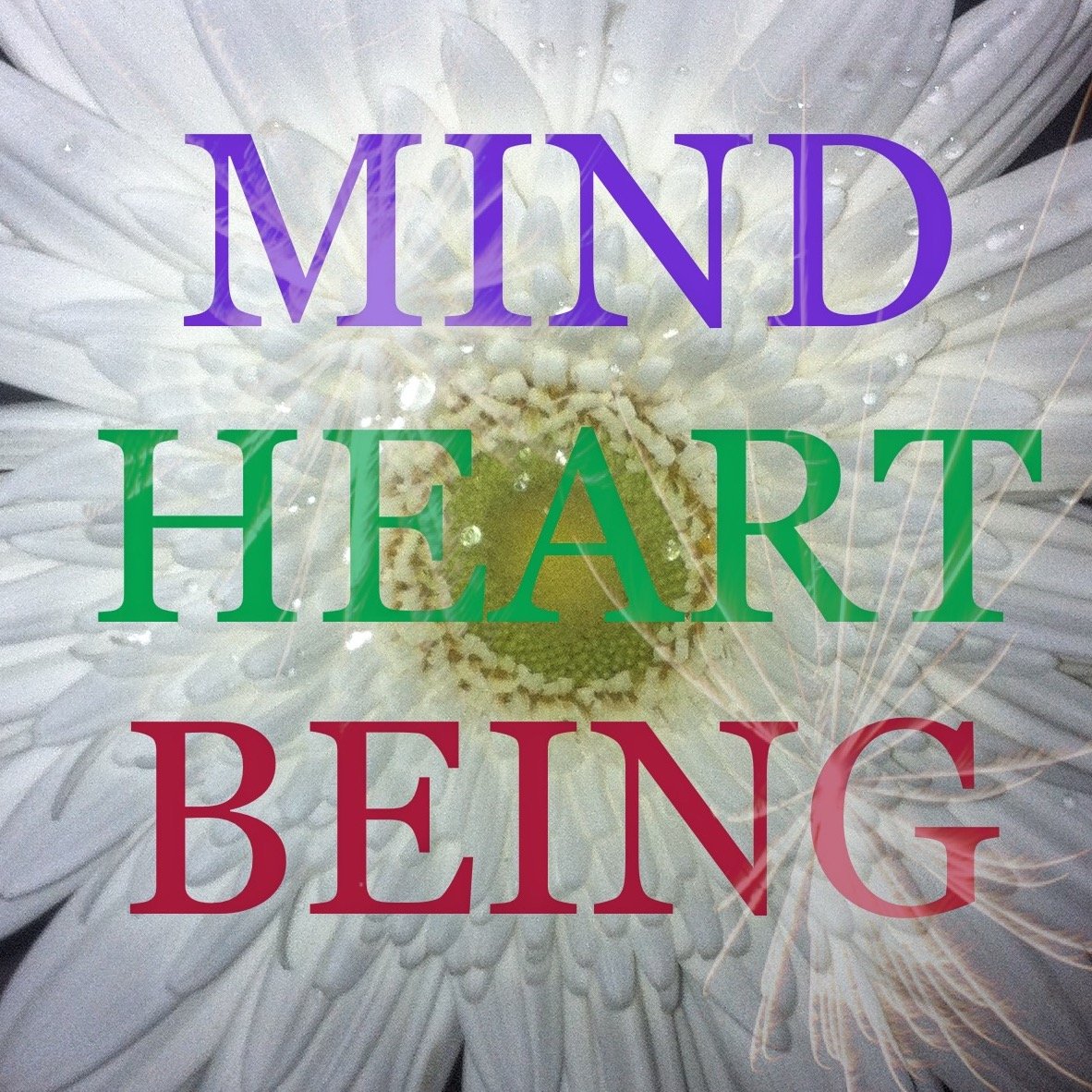 Mentor and coach of life, love and happiness! 
Former sufferer of sever anxiety, depression and a list of          learning disabilities.