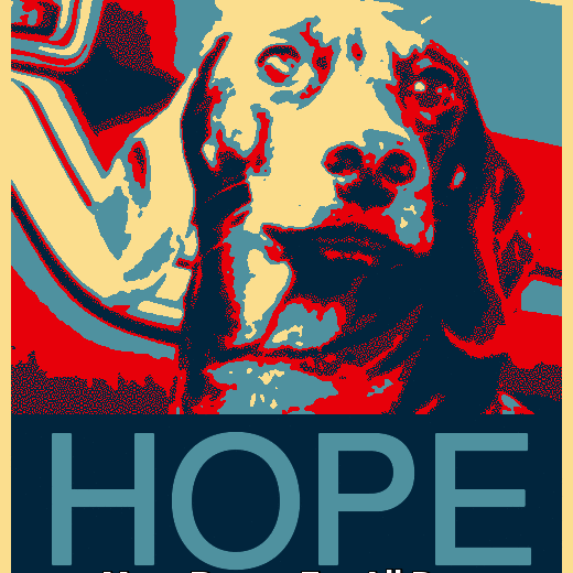 MoeWiener's profile picture. Documenting the life and times of Mr Moe Wiener. Bones and happy homes for all dogs! @bhsailsfast https://t.co/7diT1R67Xi Adopt don’t shop.