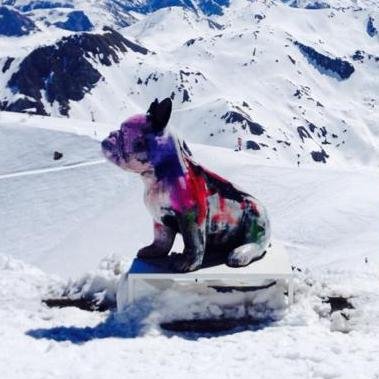 skidiaries's profile picture. Follow Poppy's trials and tribulations on a ski season this winter plus great articles about skiing, snow and fun in the mountains!