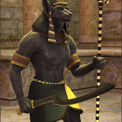 elchacala5's profile picture. 