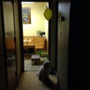 The MightyKifto - @JoshuaPohlman - Twitter