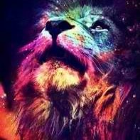 matthewszach15's profile picture. Zach Matthews