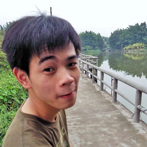 有时候，看电影是为了报仇，向这庸常的生活报仇…