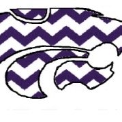 Blue Springs High School Girls Swim and Dive💜😺🏊🏼‍♀️