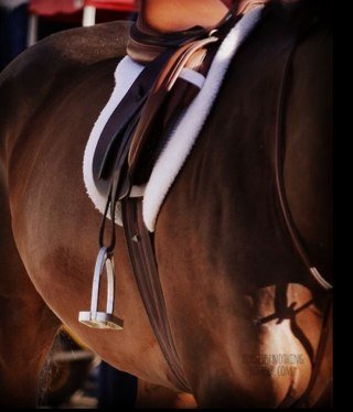 ✨ Heart's in the Hunter Ring ✨