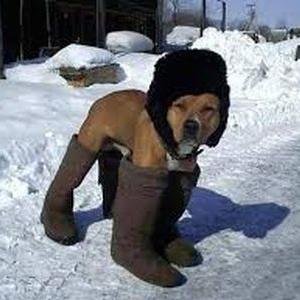 Hello, I tweet world's funny and trendy news everyday. If you like them,please visit my website.