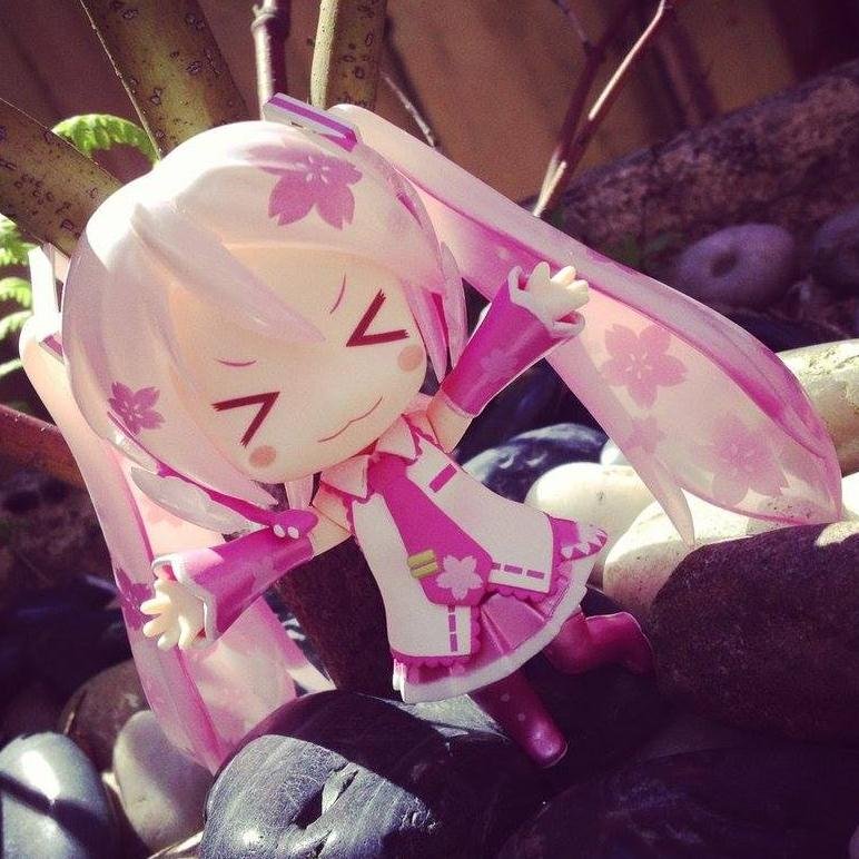 ☾シャイ、甘くて優しい¨¨私が歌うとダンス¨¨私はネギが好き¨¨私はあなたを愛して XP☽                Japones,Ingle& Spanish