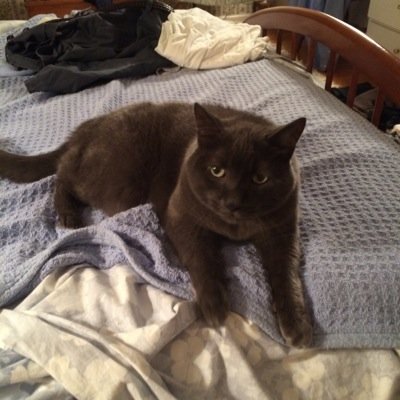 caitlinarthur Profile Picture