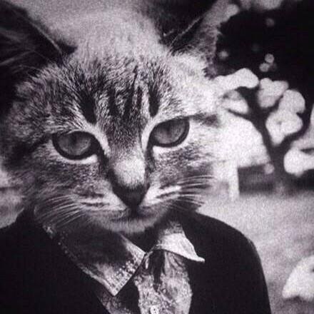 pW2015EI's profile picture. 