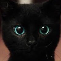 Bramblepaw(Dead) (@bramblekit_) 's Twitter Profile
