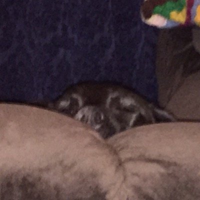 Butter272's profile picture. 