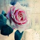 Jodi Orlando - @jodi_orlando - Twitter