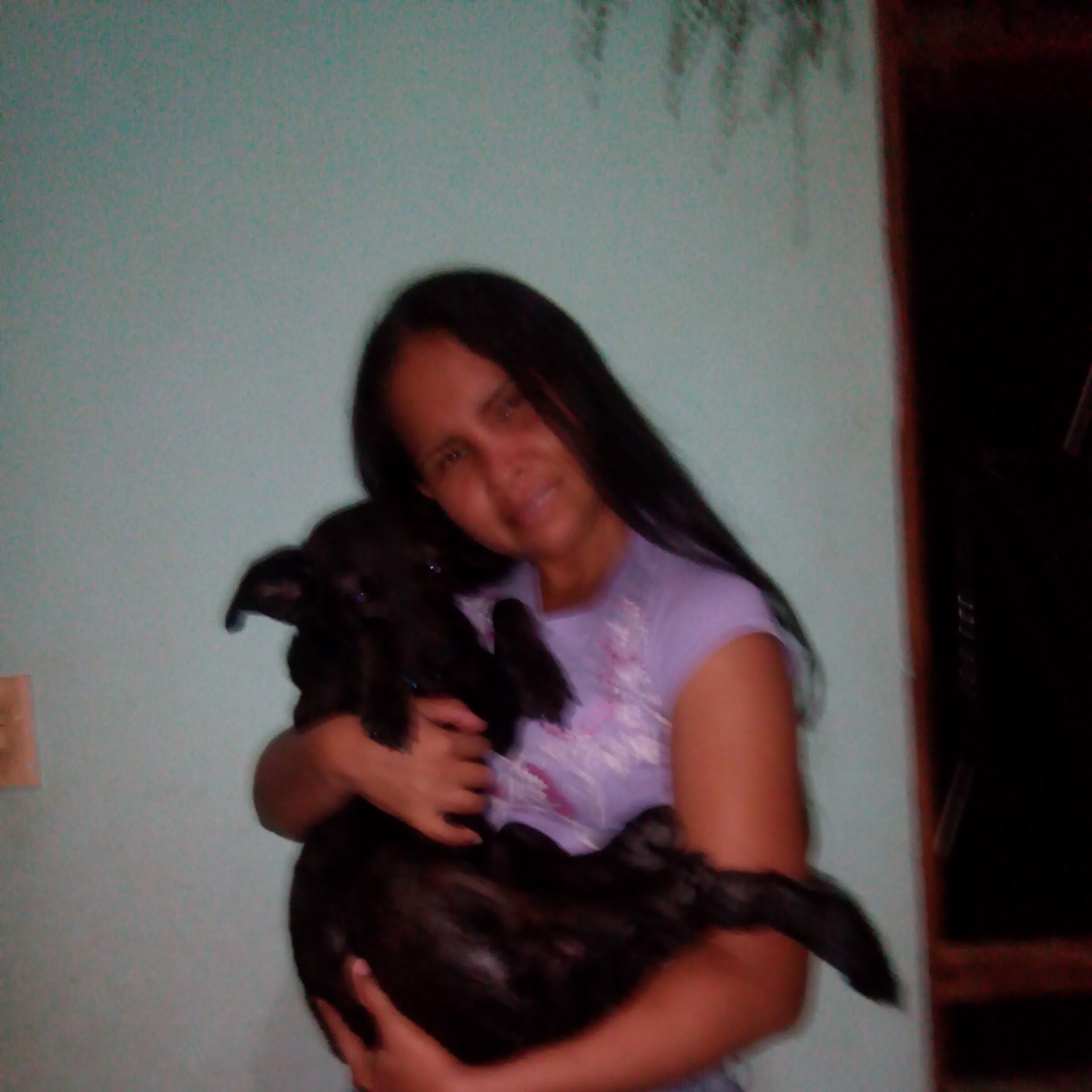 kemagame14's profile picture. 