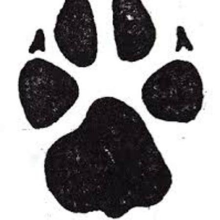 CALIFORNIA_PETS's profile picture. California Pets inc is an online pet store the species in Dogs and cat, but we also offer products for all pets. We are here to help you and your pets.