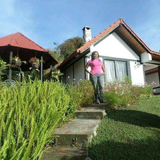 elquipache's profile picture. 