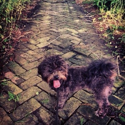 localthinking's profile picture. writer, hiker and believer in karma.