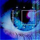 segnet_security's profile picture. #SEGNET SEGURANÇA ELETRÔNICA (monitoramento eletrônico/internet, cercas elétricas,câmerasIP,interfones, CFTV,etc)