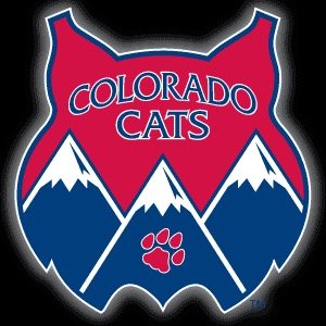Official account of The University of Arizona Alumni Association - Colorado Chapter. #COCats  #BearDown Connect with us: FB-Colorado Cats  & IG: @uacoloradocats