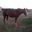 Kali Walker - @WalkerKali - Twitter