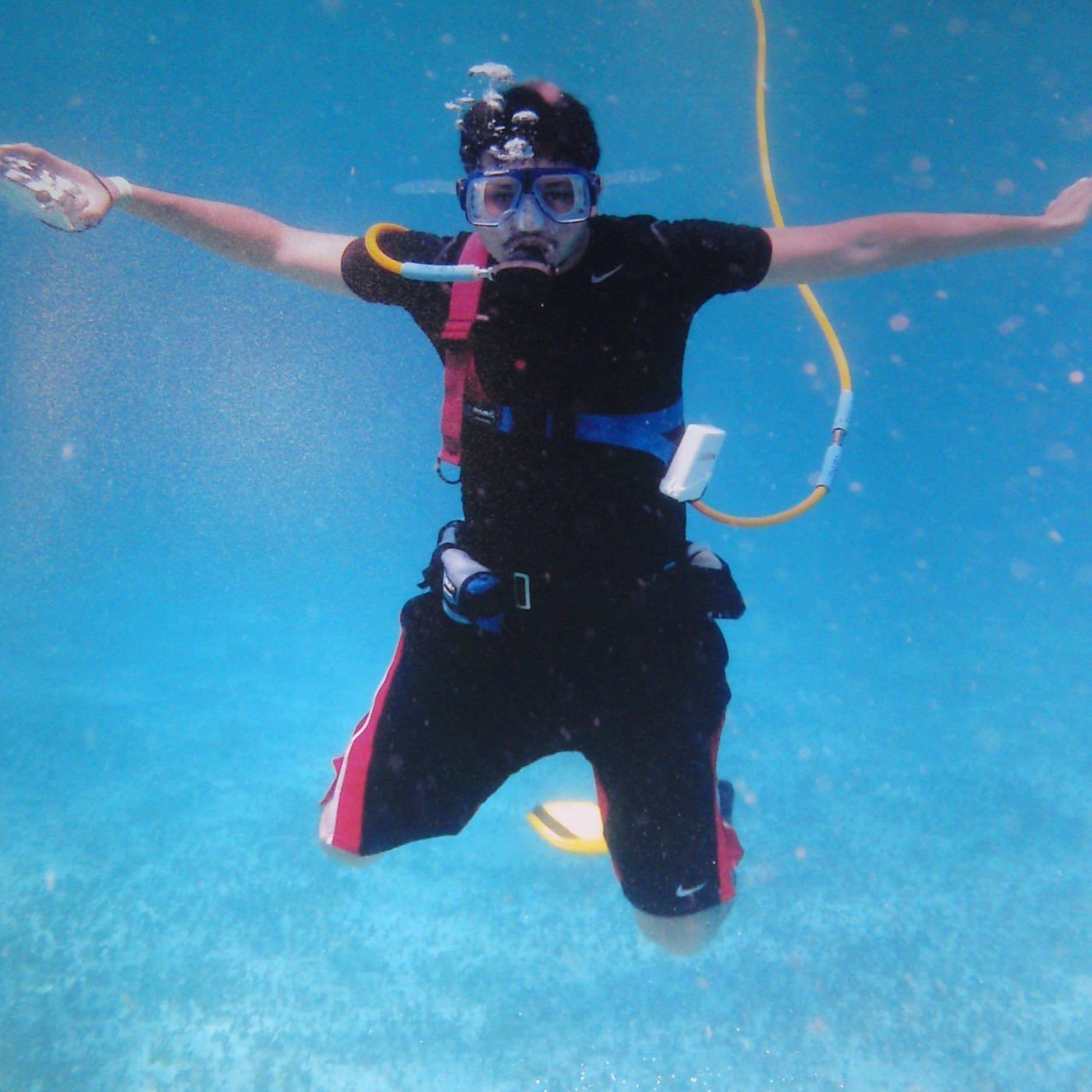 CarlosARAmaro's profile picture. 