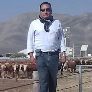 mvz_orp's profile picture. 