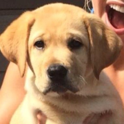 amy_theisen's profile picture. 