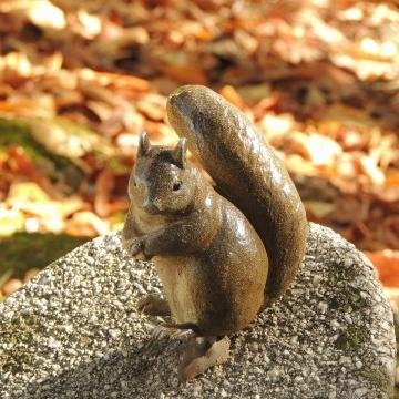 気になったことをつぶやきます。去年、家庭菜園はじめました！いろいろチャレンジしていきたいですね。