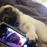 www Funny Life (@nikoo_coxhead) 's Twitter Profile