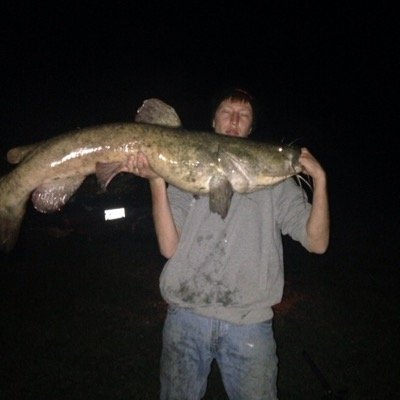 kovaleski89's profile picture. 