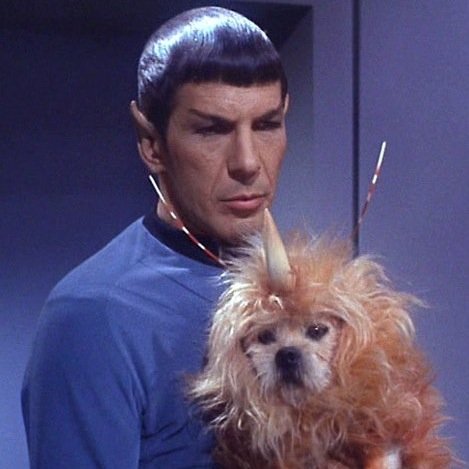 SciFiLogline's profile picture. A nostalgic science fiction fan watches television and movies from their childhood and suggests alternative short descriptions.