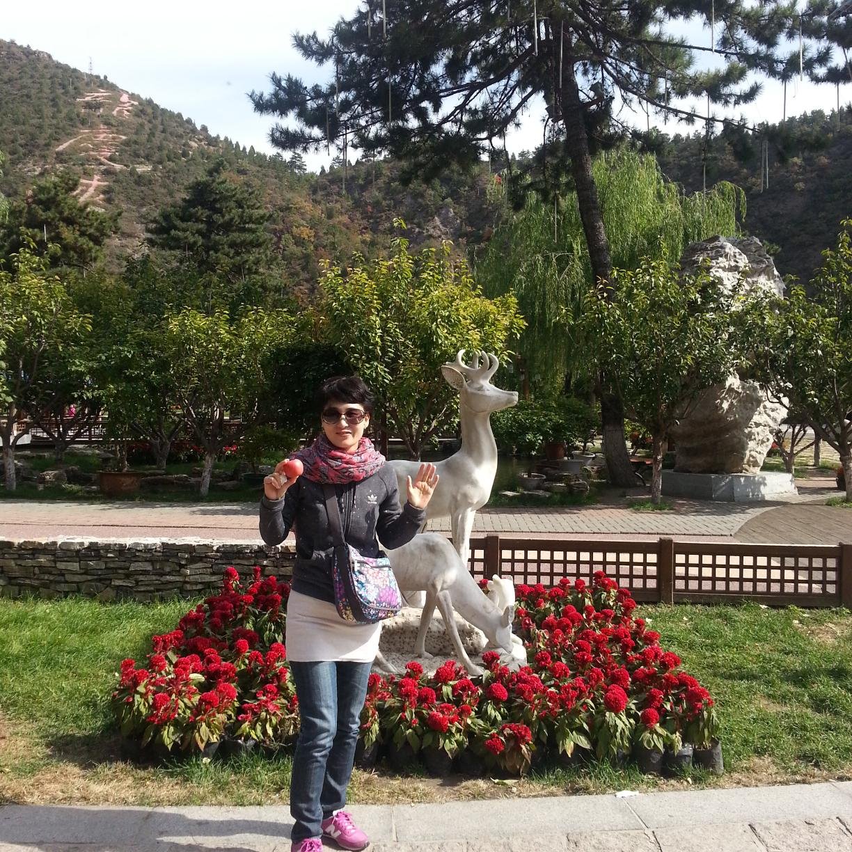 ☆납세증명서위조 ☆초본제작 ☆도장제작