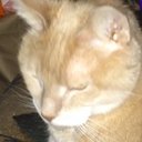 Steve Singleton - @dunn_kal - Twitter