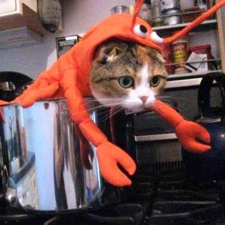 Hi there! I update funny facts and news everyday. Please visit my website. Thanks