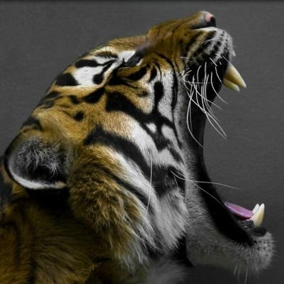 AlainNunez55's profile picture. Oh look who decided to text first and me replying within the minute, then never respond to a convo u made :D ...Yeah stop wasting my time when you don't have...