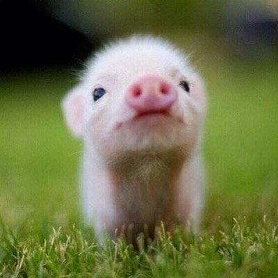 JJTwins168's profile picture. Econs is Bae . Tiffany followed 28/9/14 10.10am