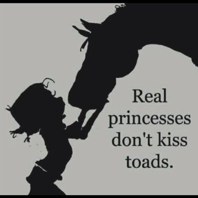 I read as much as I ride. English, Western and Bitchy