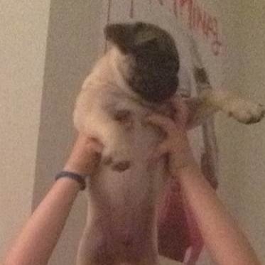 R.I.P MAX!