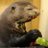 WhatBrandySaid's profile image