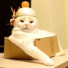 Funny news tweets everyday. If you wanna read more please visit my website. Thanks!