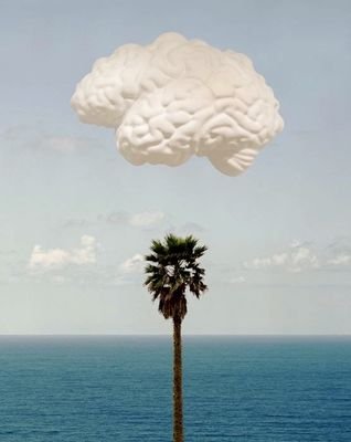 TeamElevated's profile picture. Elevate your mind, let the music set you free. Prafessa Peasly. Drew. D.J20 . Phil. Corey. Instagram: @teamelevatedminds