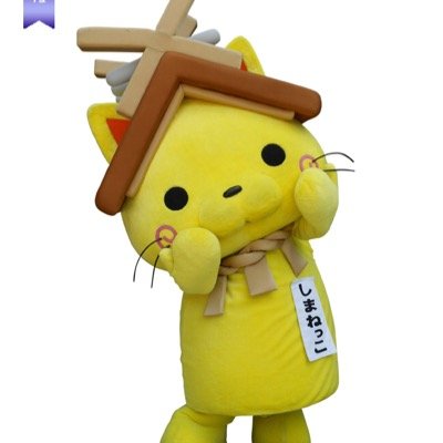 田中です
