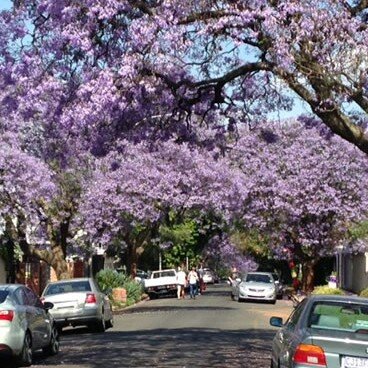 Tweets of a Black kid from the Burbs Born in the #Ghetto, raised in the #Suburbs, visit the village with fam in Exile, small towns and all over #Africa