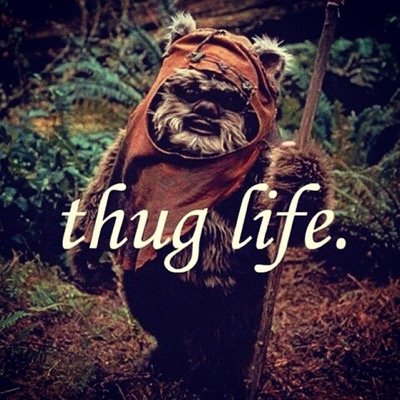 Hewbs's profile picture. I am superman. Just kinda lazy right now.